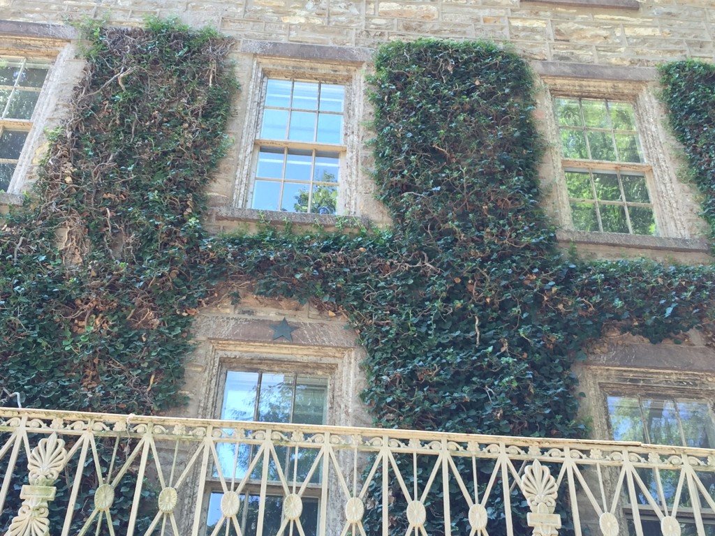 图:看得到那颗五角星么?